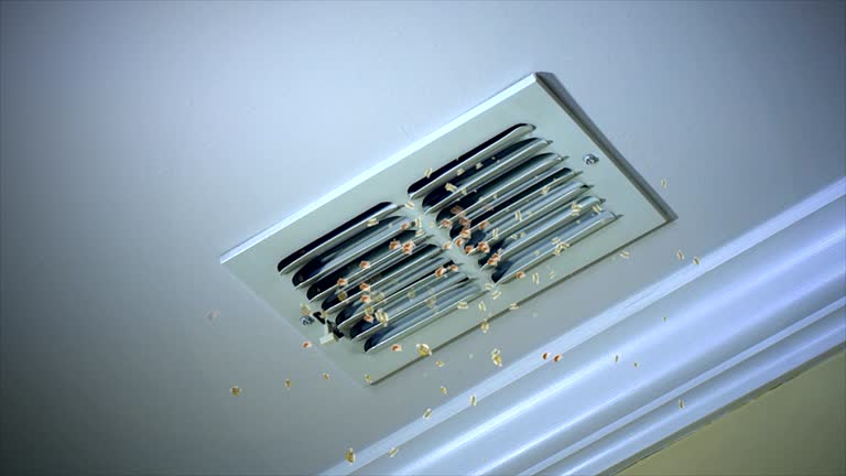 Best Affordable Duct Cleaning Services  in Elgin, IL
