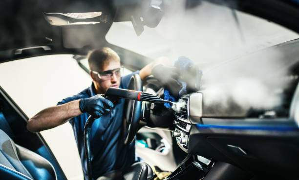 Best Air Duct Mold Removal  in Elgin, IL