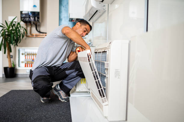 Best Air Vent Cleaning Services  in Elgin, IL