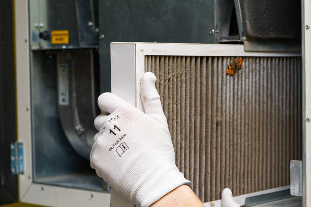 Best Professional Duct Cleaning Services  in Elgin, IL