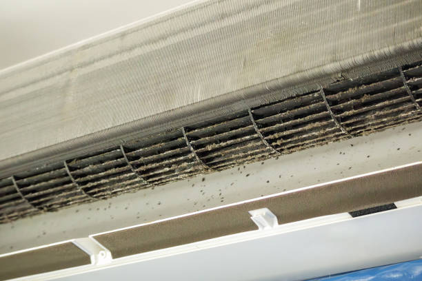 Best Air Duct Cleaning Company Near Me  in Elgin, IL